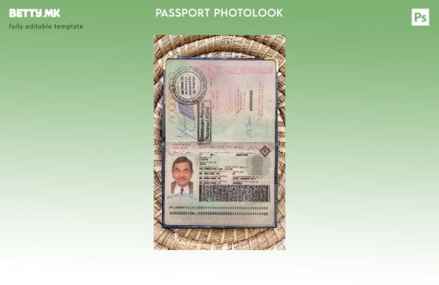 Шаблон за изглед на фотографии од пасош на Мали во модерен стил